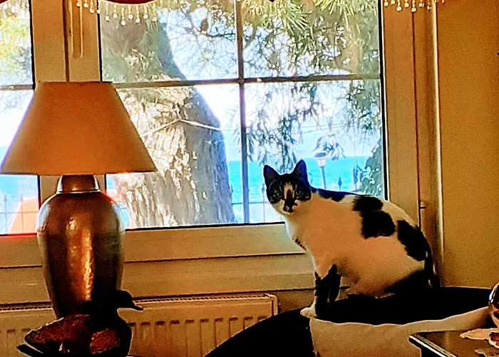 Casa de Férias Aegialis